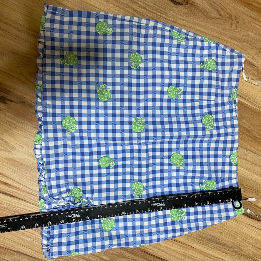 Lilly Pulitzer blue and White Gingham Skirt
